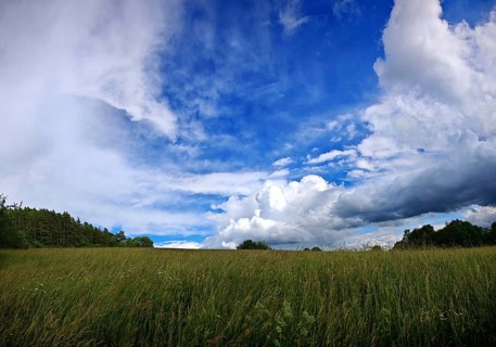 Wide meadow under blue sky with dramatic clouds and trees on the horizon, Frankenwald nature park