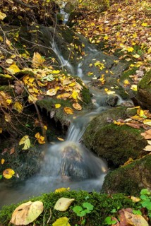 Autumn, stream, flowing water, autumn, high size, portrait format, landscape, spring area