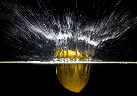 A fresh yellow lemon (Citrus limonum) falls into the water, creating a splash and air bubbles,