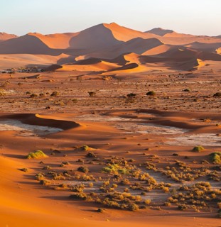 Large red sand dunes in the Namib Desert, Namib Naukluft Park, Namibia