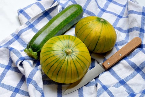 Zucchiolo and zucchini, zucchiolo is a cross between zucchini and cucumber, novelty