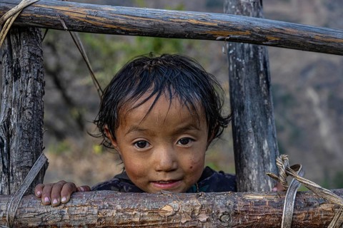 Portrait, small hunge looking through fence, local of the Tsumba Tibetan ethnic group, Tsum Valley,