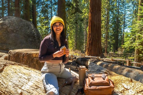 Smiling woman with a yellow beanie sitting on a fallen giant sequoia log, eating a sandwich during