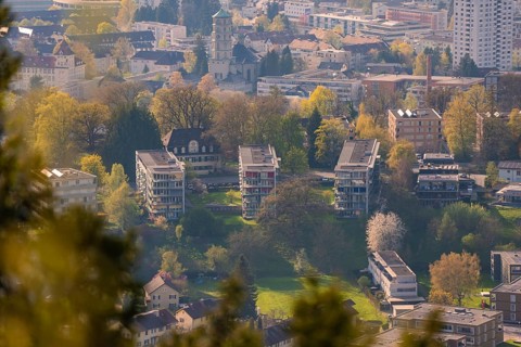 Residential area with blooming trees and church in the background, Bregenz, Austria