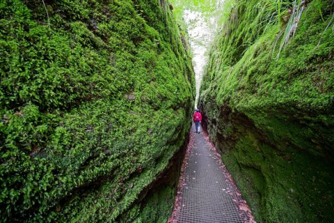 Hiking in the Dragon Gorge, gorge, hiking trail, hiking destination, fascinating, erosion,