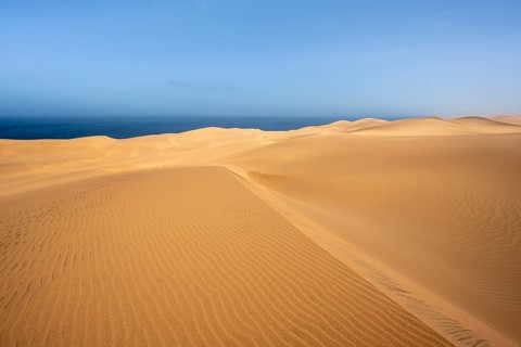 Sand dunes with wave patterns, dune sea, sandy desert, impressive desert landscape, Namib Naukluft