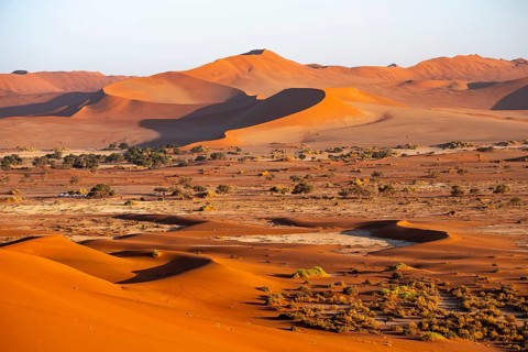 Large red sand dunes in the Namib Desert, Namib Naukluft Park, Namibia