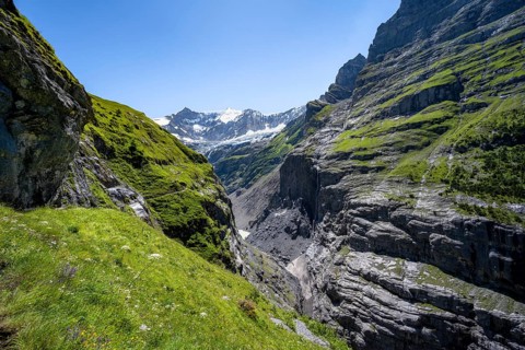Rocky gorge with waterfall, mountain landscape with Grindelwald-Fiescherfirn glacier, Bernese Alps,