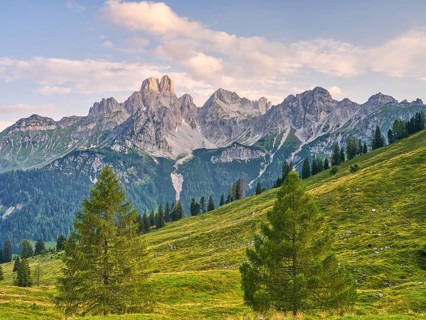 Green meadows and sparse forests leading to rocky mountain peaks under a clear sky, Große