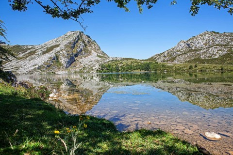 The Enol lake is part of the Covadonga lakes ensemble, located in Picos de Europa National Park,
