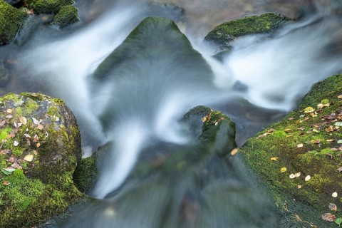 Moss-covered stones in mountain stream, Alvdal, Hedmark, Innlandet, Norway, September 2025