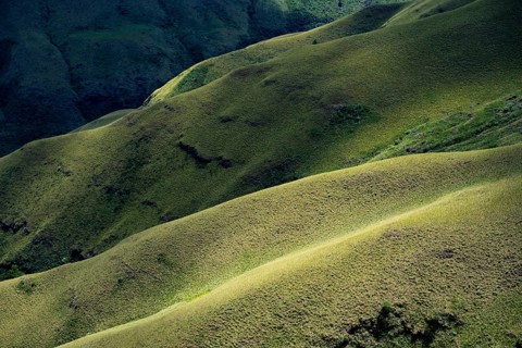 Detail, light and shadow, green meadows and mountain valley, mountain landscape of the Cathedral