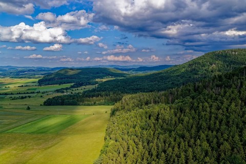 Foothills of the Heuscheuer Mountains. The Heuscheuergebirge National Park, Park Narodowy Gopr