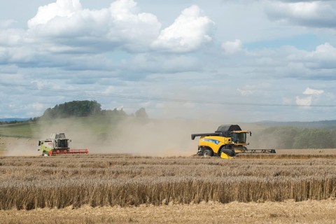 Harvest, industrial agriculture, intensive agriculture, combine harvester
