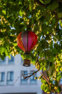 Decorative hot air balloon dangling in a tree with green leaves under bright sunlight, Dublin,