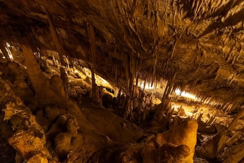The Cuevas del Drach (Dragon Caves) are an impressive cave system on the east coast of Majorca,