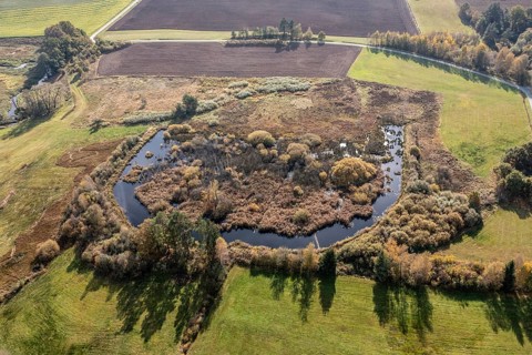 Bavaria, Upper Palatinate, Tirschenreuth, Waldnaab, Waldnaabaue, wild pastures Waldnaabaue, aerial