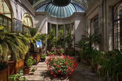 Interior view of greenhouse, Trelissick House and Gardens, Feock, Cornwall, England, Great Britain,