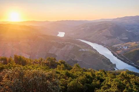 Aerial drone view of sunrise over the Douro River winding between vineyard-covered hills in the