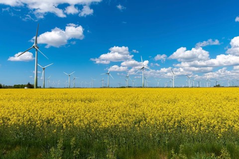 Wind turbines in the Reußenköge Bürgerwindpark, North Frisia, clean energy, power generation,