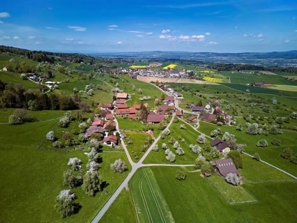 Blooming fruit trees in the hamlet of Wiggwil, Beinwil, Freiamt, Canton of Aargau Switzerland