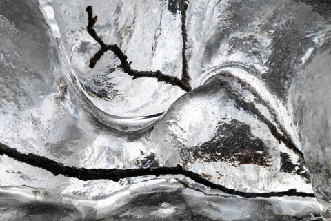 Branches enclosed in ice, Dundret Nature Reserve, Gällivare, Norrbotten, Lapland, Sweden, October