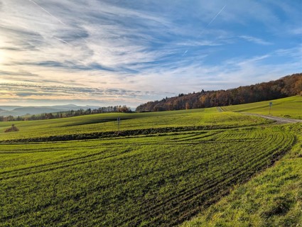 Hilly, agricultural landscape, Köterberg on the horizon, sunny autumn weather, Rühle, Bodenwerder,