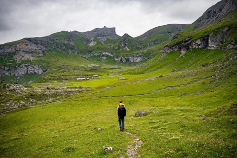 Hikers on hiking trail, alpine pastures and alpine meadows on Kienboden, green mountainous