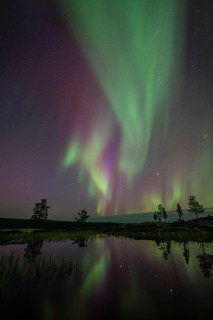 Northern Lights (Aurora borealis) reflected in a mountain lake, Norrbotten, Lapland, Sweden,