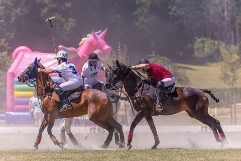 Heino Ferch, polo player, polo horse, polo pony (Equus), rider, polo tournament, 1295 Polo Masters,