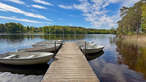 A wooden walkway leads to several rowing boats on a quiet lake, surrounded by forests under blue