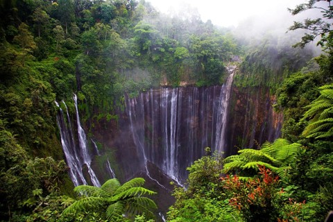 A tall waterfall flows over a cliff in the middle of a thick, green forest with fog, views of