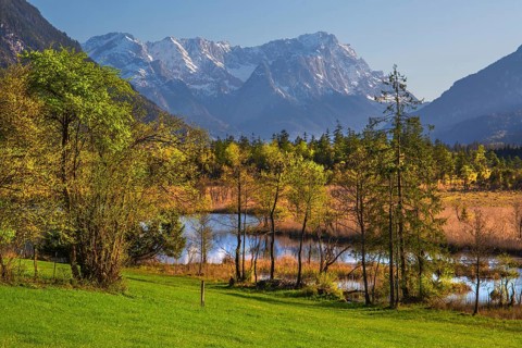 Moor area Seven springs with the Zugspitze group 2962m in spring, Eschenlohe, Loisachtal, The Blue