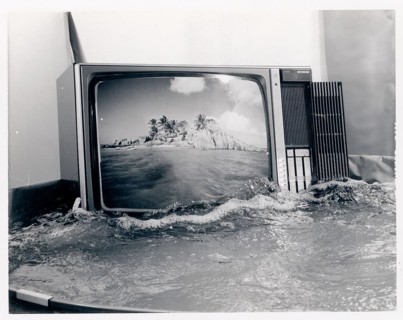 South Pacific, vacation, water, palm trees, television, Polarois, A television shows a beach
