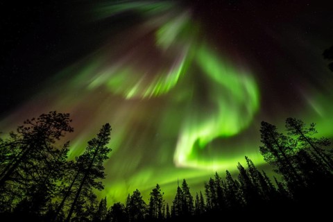 Northern Lights (Aurora borealis), Norrbotten, Lapland, Sweden, October 2022