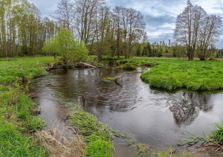 Bavaria, Upper Palatinate, Tirschenreuth, Waldnaab, Waldnaabaue, Wilde Weiden Waldnaabaue