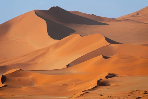 Red-yellow sand dunes of the Namib, Namib Desert, Namib-Naukluft National Park, Namibia