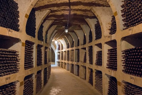 Long, illuminated wine cellar with shelves full of bottles in a mysterious atmosphere, wine cellar,