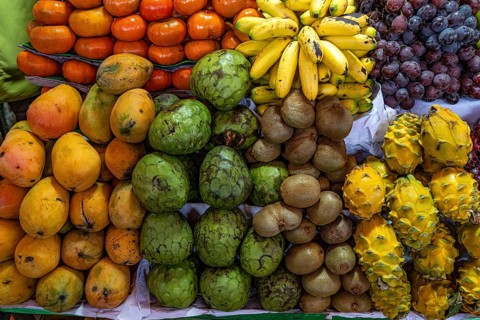 Various exotic fruits, mangoes, cherimoyas, dragon fruit (yellow pitayas), bananas, mandarins and