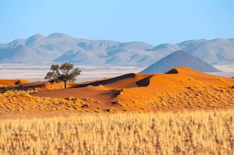 Dunes, landscape in the NamibRand Nature Reserve, in the back Naukluft Mountains, Namib Desert,