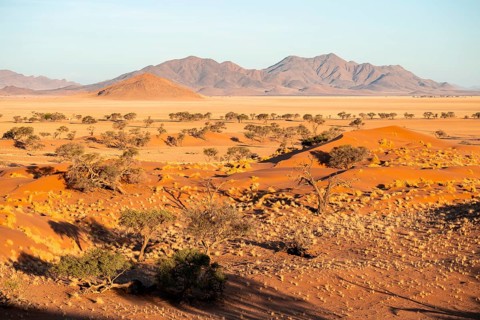 Evening atmosphere, sand dunes, landscape in the NamibRand Nature Reserve, Naukluft Mountains in