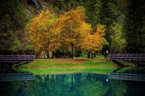 A small island with autumnal trees in a lake, the water reflects the colours, autumnal larch trees