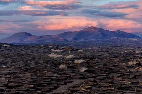 Lanzarote, Canary Islands, Spain, Europe, vineyards in La Geria, volcanic landscape at sunset with
