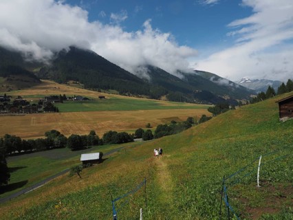 View of hilly landscape with mountains, meadows and a path, people hiking along, Münster, Goms,