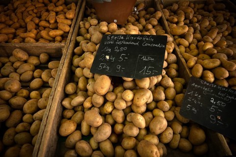 Range of potatoes, varieties Concordia, Annabelle, price tag, weekly market market, food, market,