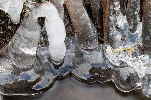 Ice formations on a stream, Dundret Nature Reserve, Gällivare, Norrbotten, Lapland, Sweden, October