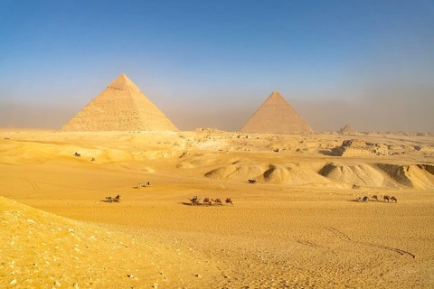 Camels in the desert and the pyramids of Giza, Egypt
