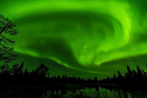 Northern Lights (Aurora borealis), Muddus National Park, Laponia World Heritage Site, Norrbotten,