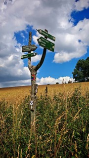 A wooden signpost stands in a grassy field under a partly cloudy sky, hiking on the Rennsteig near