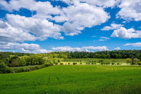 An open field under a wide sky with white clouds and surrounded by forest, Bubendorf, Canton of